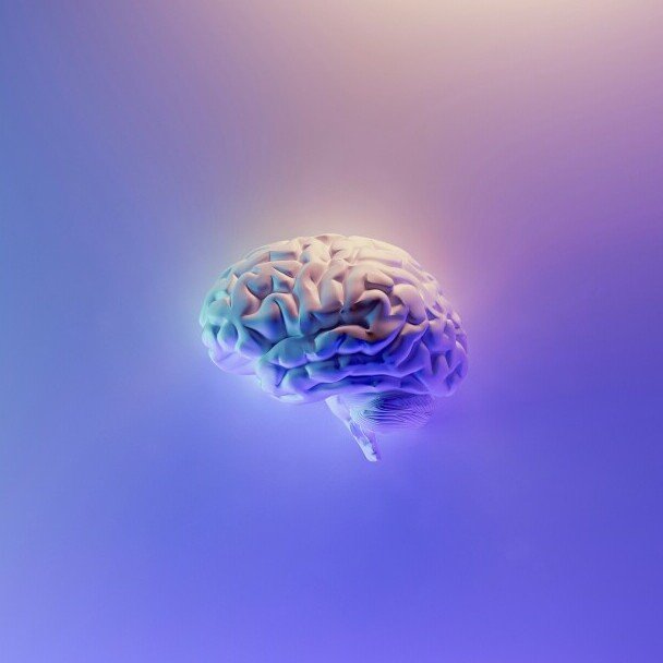 Brain Function