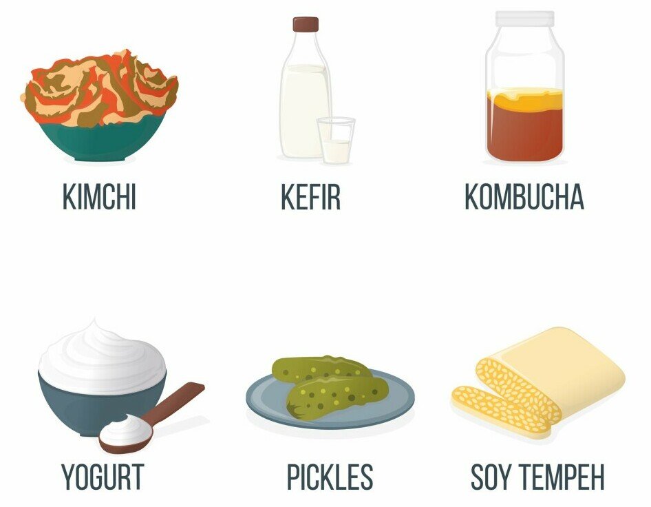 Fermentation