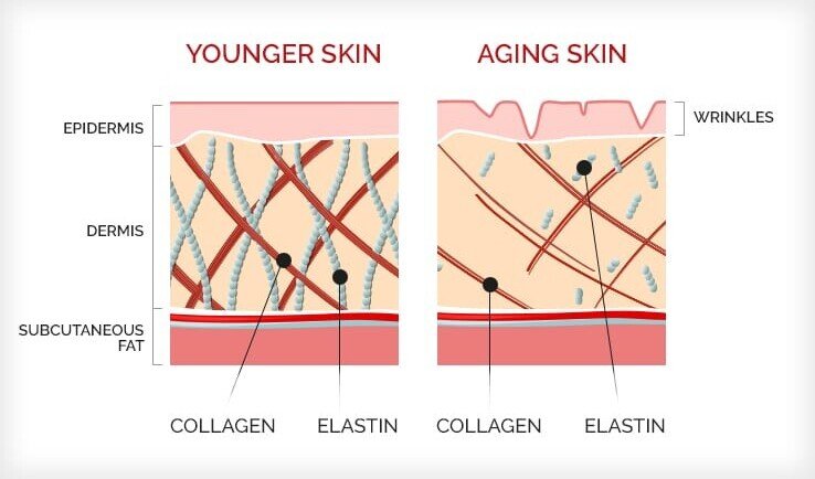 Collagen Comparison