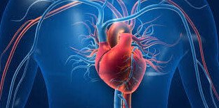 Healthy Heart